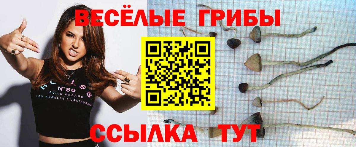 Галлюциногенные грибы Magic Shrooms Шуя